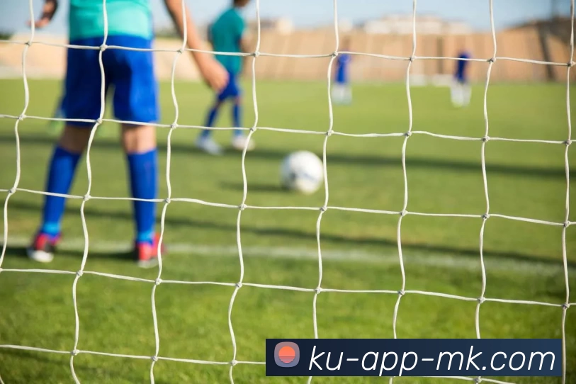 MK体育平台生态图